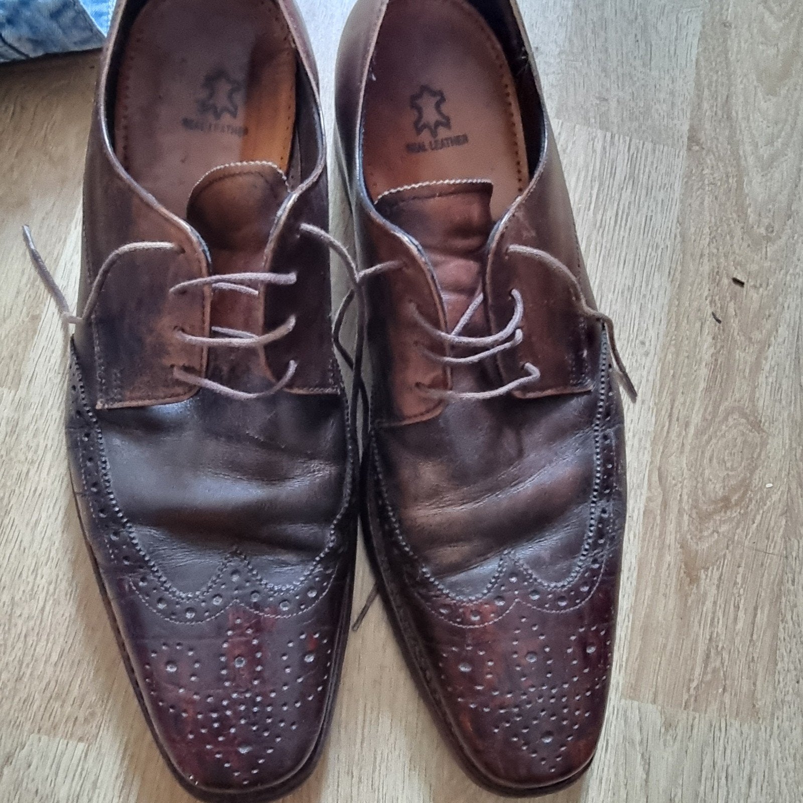 Floris van Bommel Nette Schoenen - Maat 40, Bruin, Floris van Bommel, Ophalen of Verzenden, Gedragen