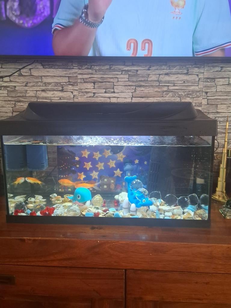Aquarium, Ophalen