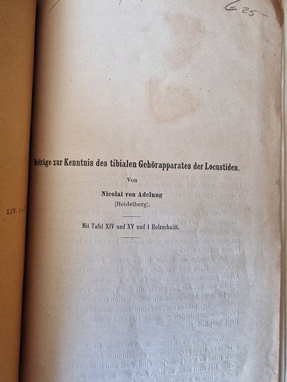 Beiträge zur Kenntnis des tibialen Gehörapparates, Ophalen of Verzenden, Gelezen, Overige onderwerpen, N. v. Adelung