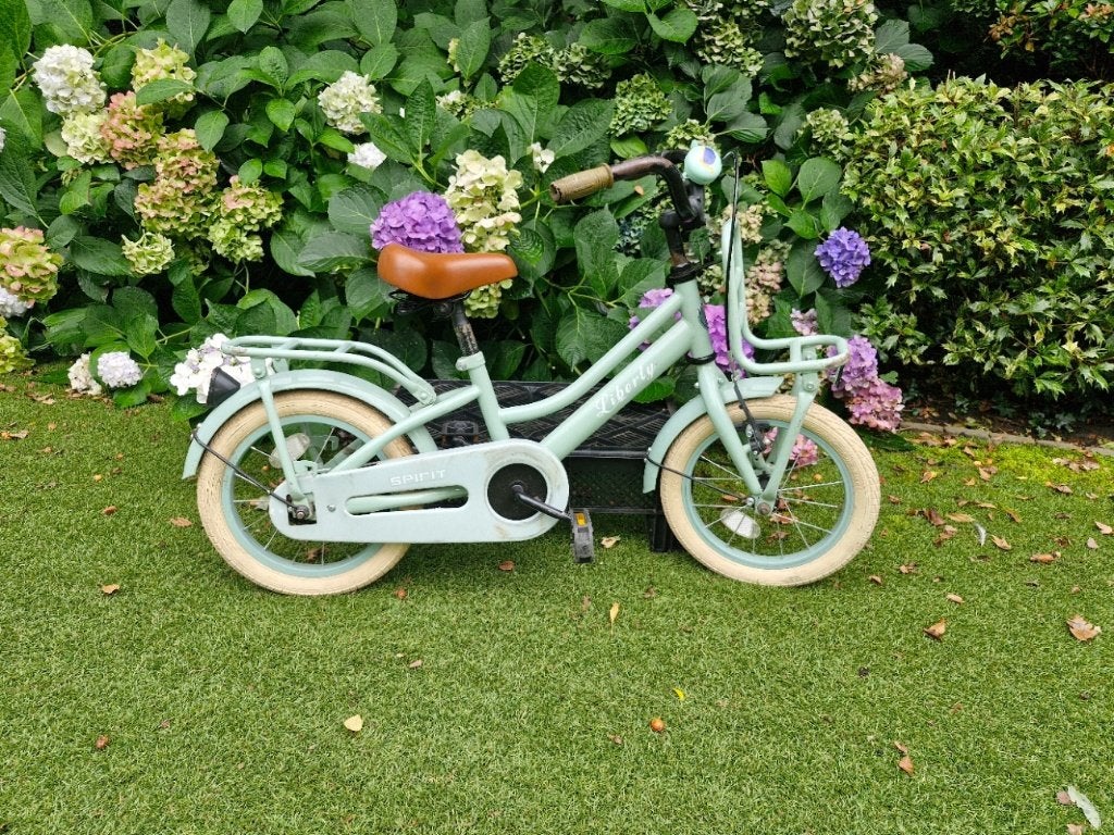kinderfiets 14 inch mintgroen met zijwieltjes, Ophalen, Terugtraprem, Zijwieltjes, Gebruikt