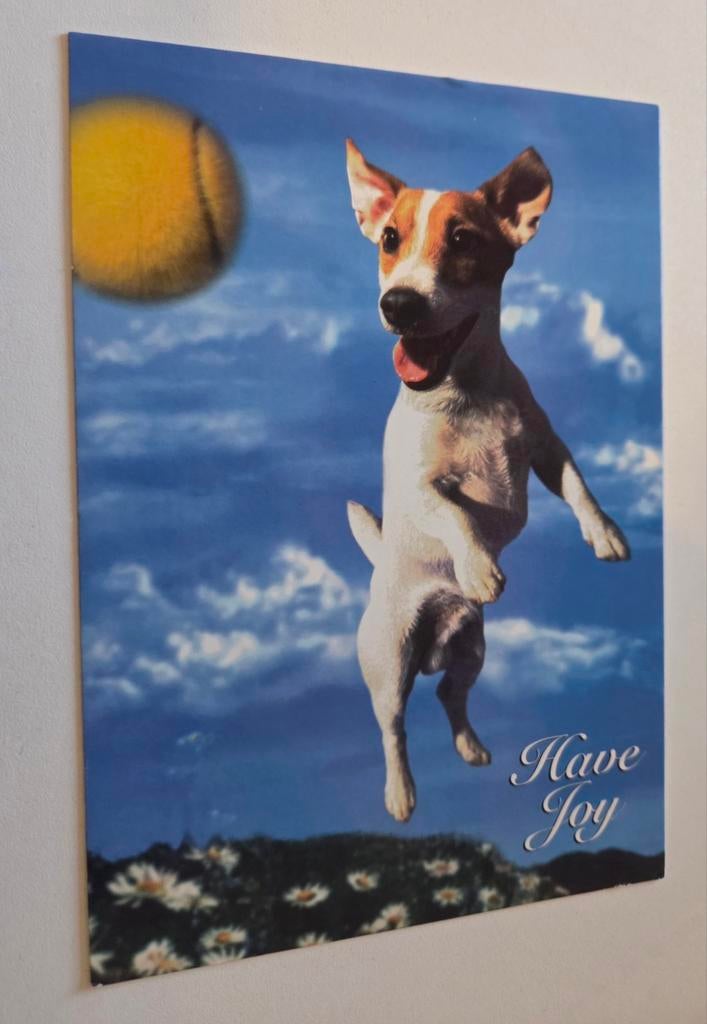 Jackrusselterriër vangt tennisbal - Have Joy, Verzenden, 1980 tot heden, Ongelopen, Overige thema's