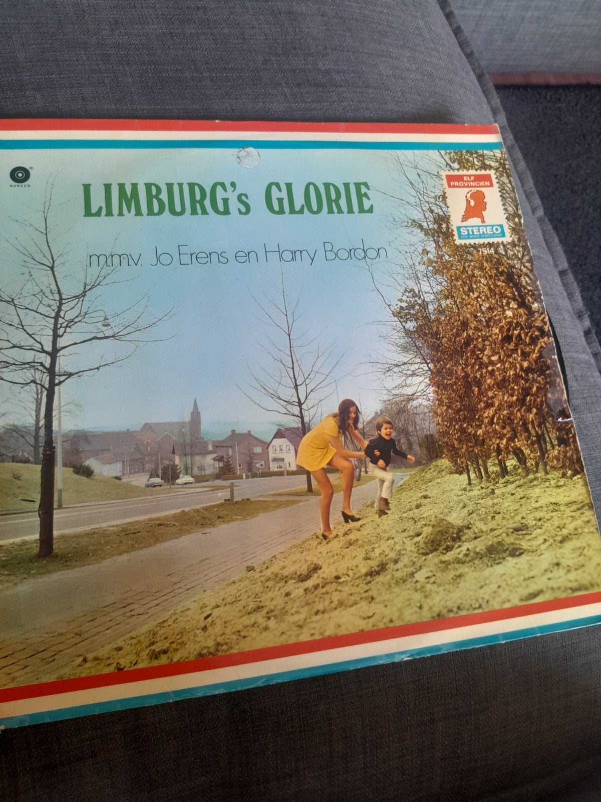 Limburgs Glorie, Ophalen of Verzenden, 12 inch