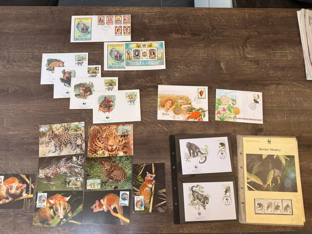 Belize postzegels Eerste Dag Enveloppen en Munten, Ophalen of Verzenden, Onbeschreven, Rest van de wereld