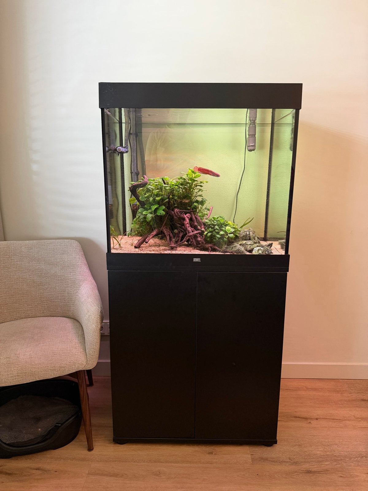Aquarium zwart Juwel lido 200, Dieren en Toebehoren, Ophalen, Leeg aquarium, Juwel, Inclusief vissen
