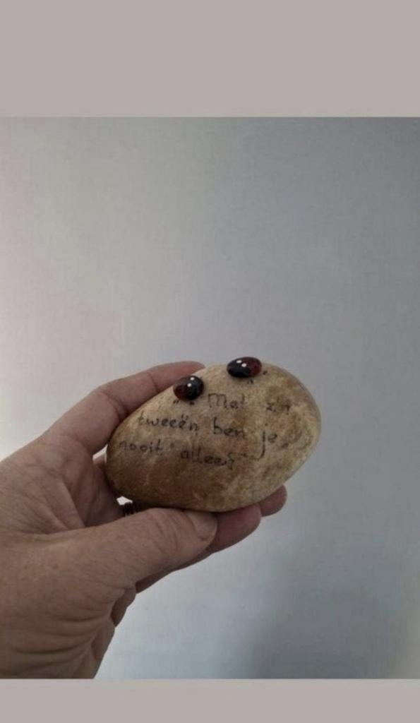 Steen decoratie lieveheersbeestje met zijn tweeën ben je noo, Ophalen of Verzenden, Nieuw, Wanddecoratie