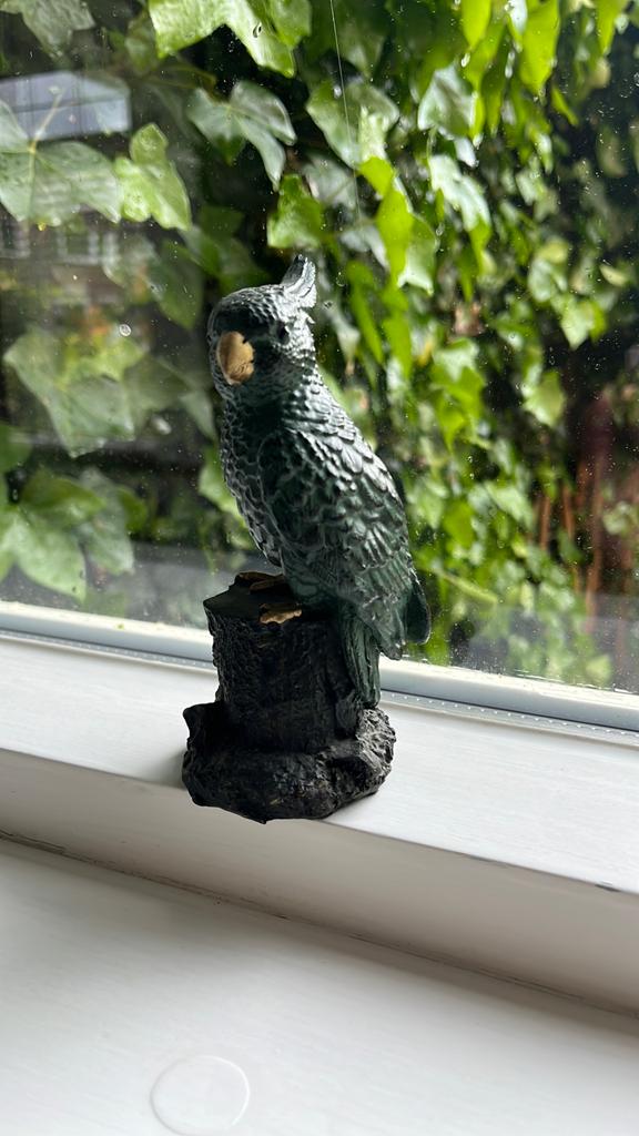Papagaai beeldje, Ophalen of Verzenden, Zo goed als nieuw, Dier