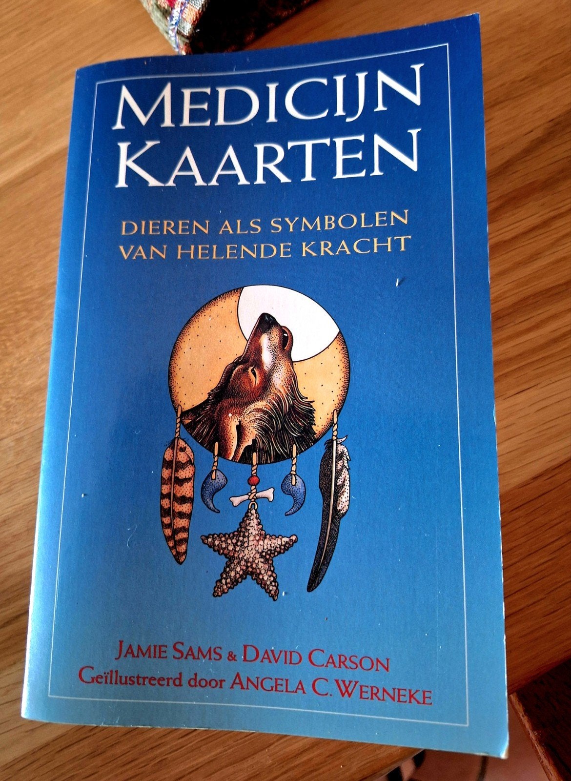 medicijnkaarten, Boeken, Ophalen of Verzenden, Spiritualiteit algemeen, Overige typen