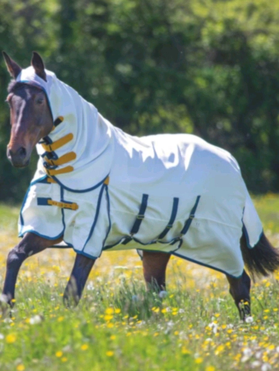 Vliegendeken Shires Highlander maat 175/220, Dieren en Toebehoren, Extra Full (XL), Ophalen of Verzenden, Gebruikt, Deken