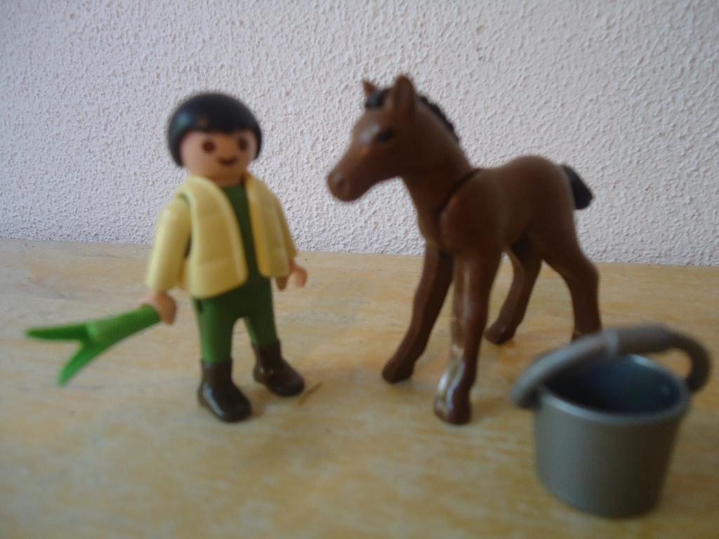Lief setje Playmobil kind met veulen 4647, Ophalen of Verzenden, Zo goed als nieuw, Complete set