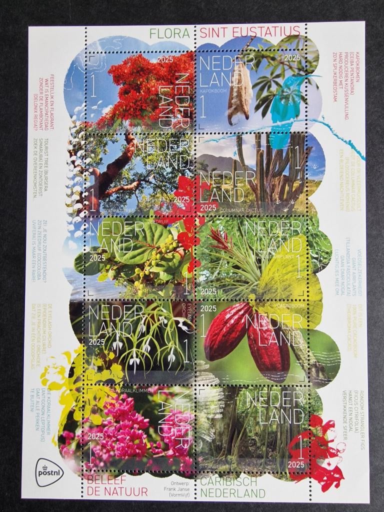 2025 Vel Beleef de Natuur Flora St Eustatius, Ophalen of Verzenden, Na 1940, Postfris