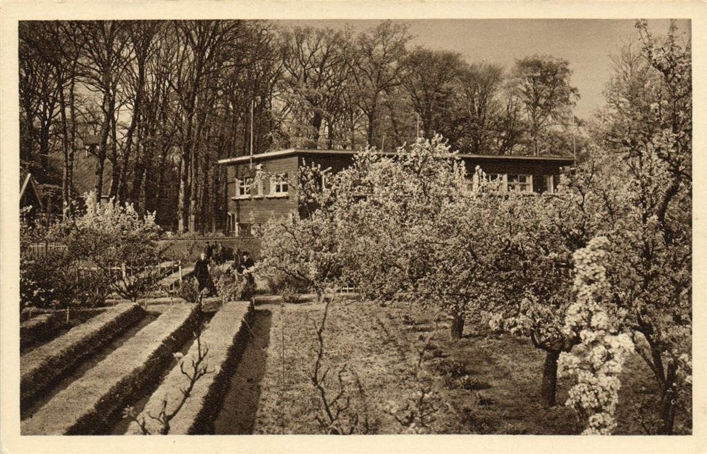 Heemstede - Gezicht op het Boschhuis - ongelopen, Ophalen of Verzenden, 1920 tot 1940, Ongelopen, Noord-Holland