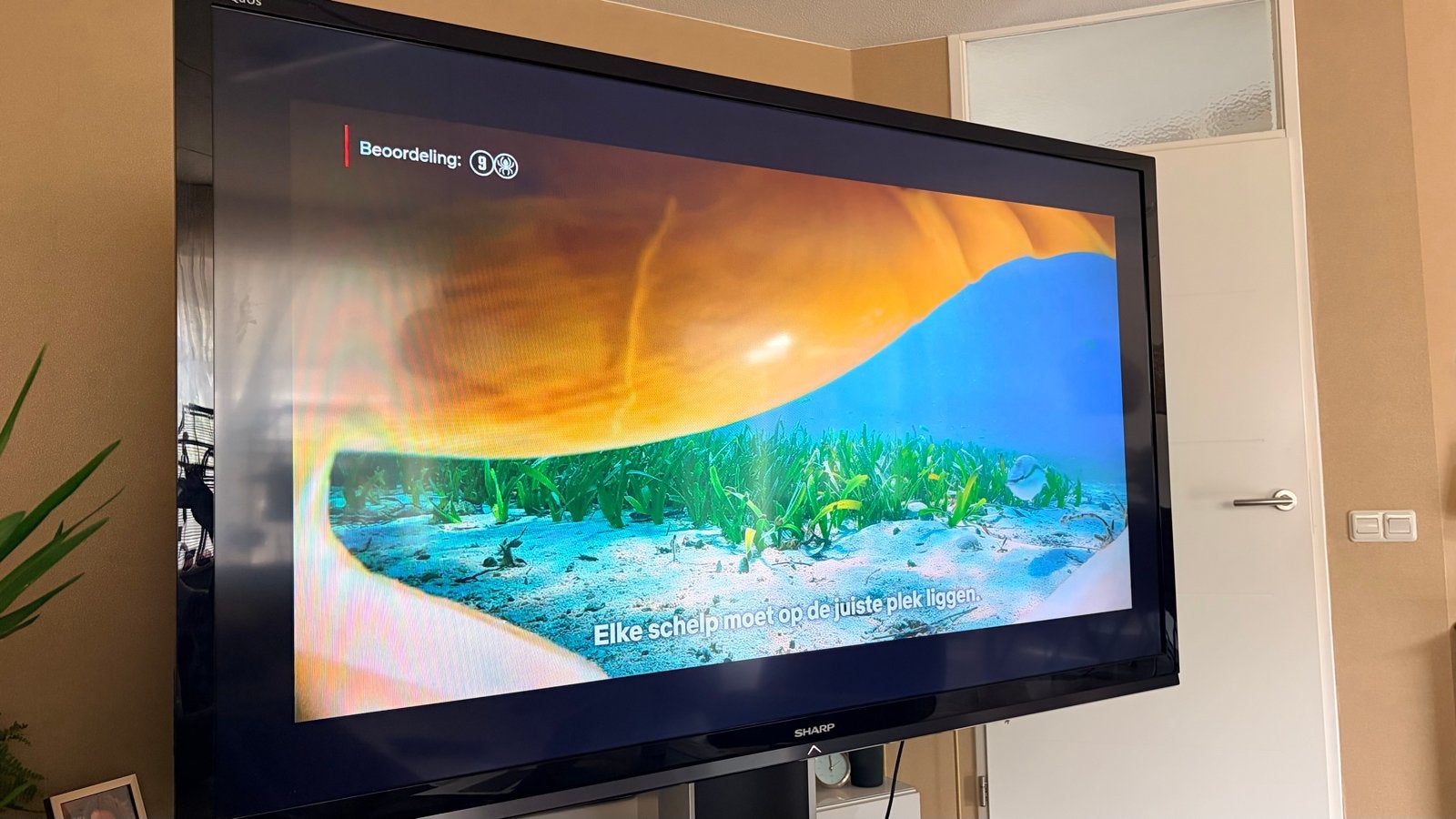 Foto 4 van Sharp Aquos 80 inch Full HD TV met presentatievoet