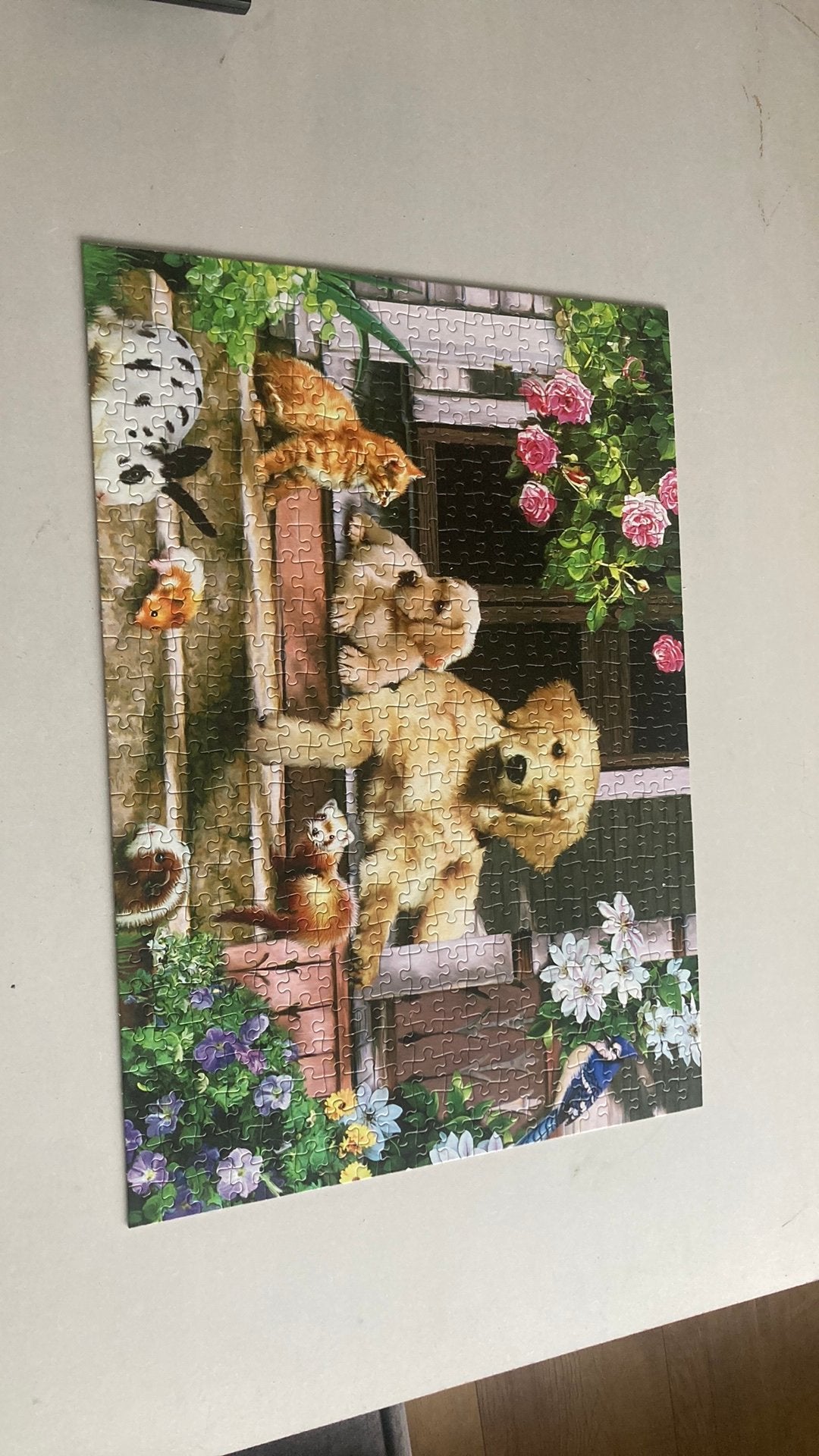 Legpuzzel ontmoeting op de veranda, Ophalen, 500 t/m 1500 stukjes, Zo goed als nieuw