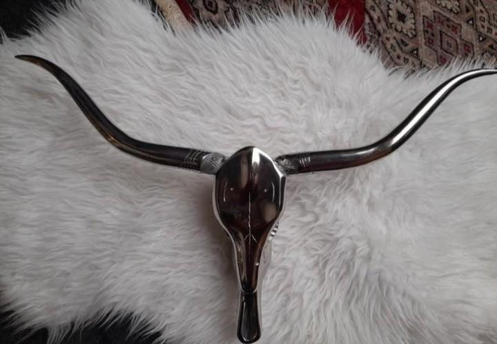 Chrome skull, Ophalen of Verzenden, Zo goed als nieuw, Dier