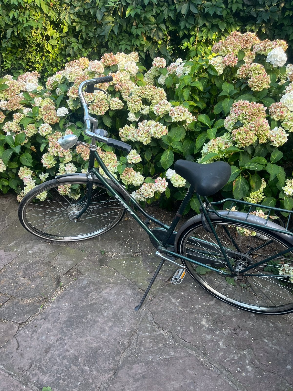 Batavus damesfiets, stations/studentenfiets, Fietsen en Brommers, Fietsen | Dames | Omafietsen, Ophalen, Gebruikt, Terugtraprem