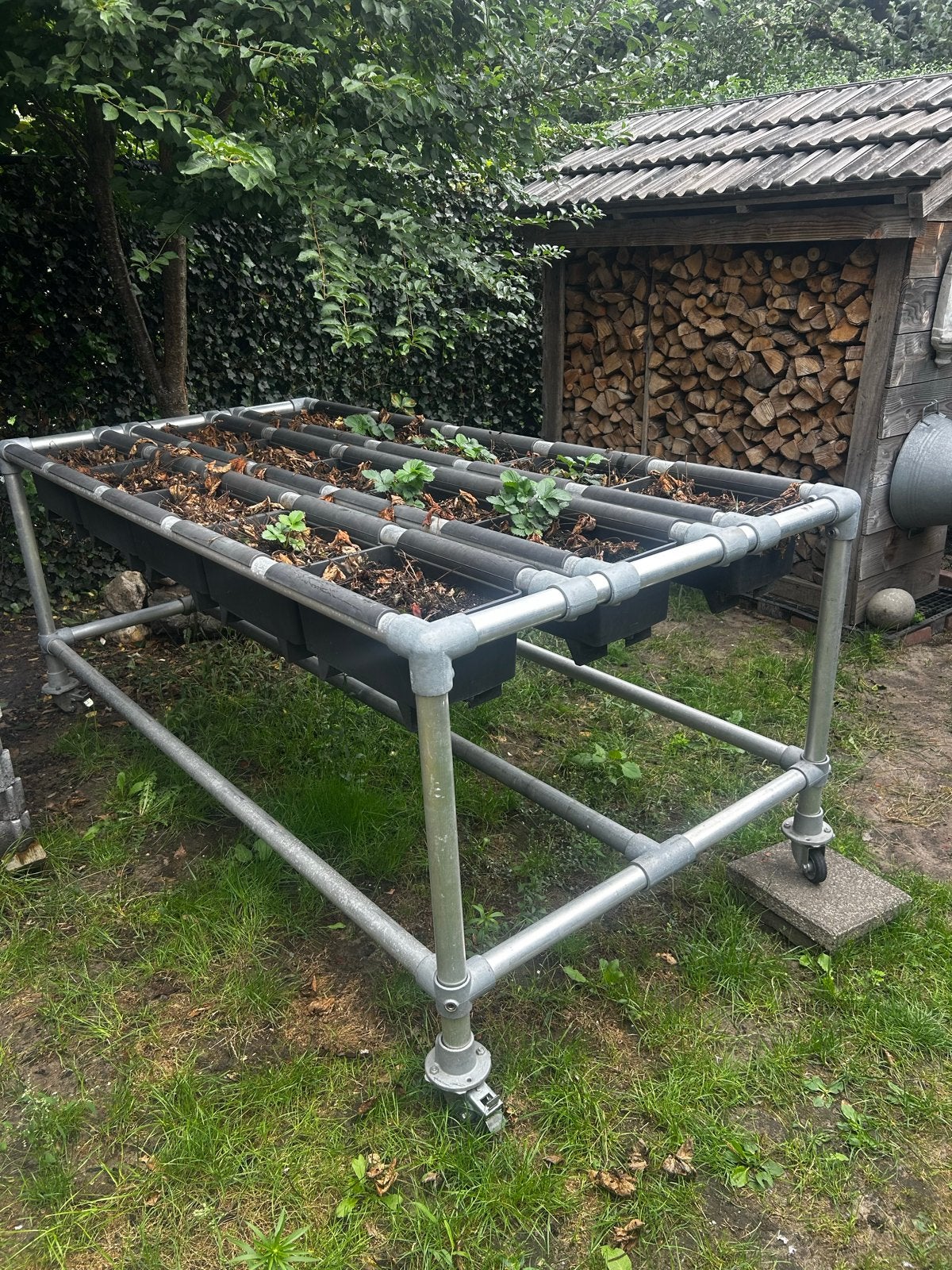 Verrijdbare Kweektafel / Kweekstellage voor Tuin of Balkon, Tuin en Terras, Kweekspullen, Ophalen, Gebruikt, Kweektafel