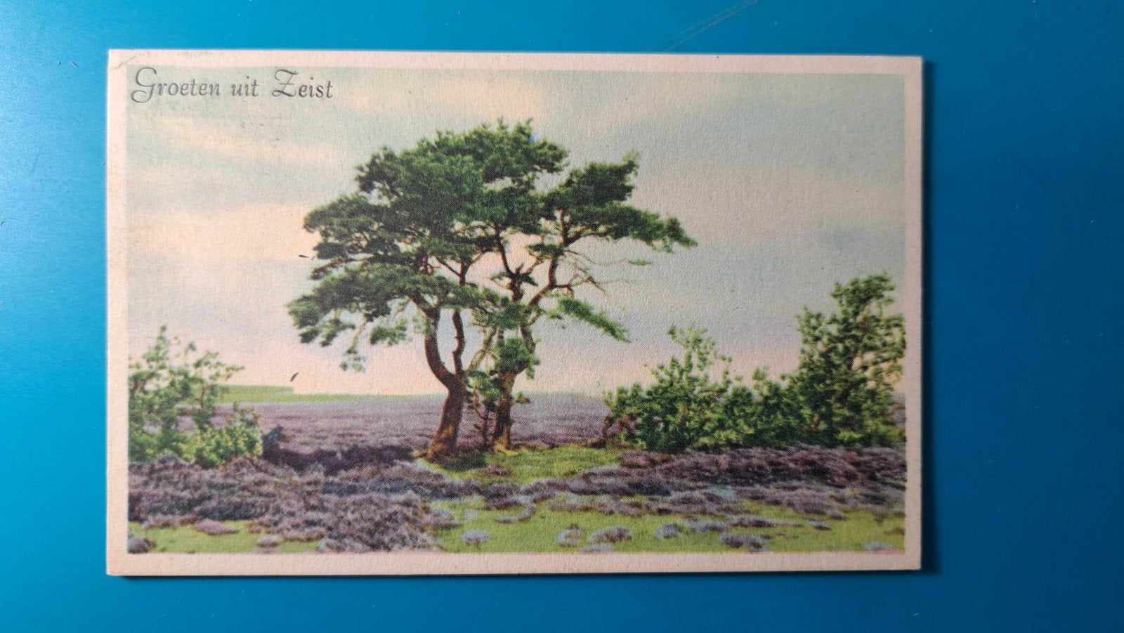 Groeten uit Zeist, heidelandschap, Ophalen of Verzenden, 1940 tot 1960, Gelopen, Utrecht