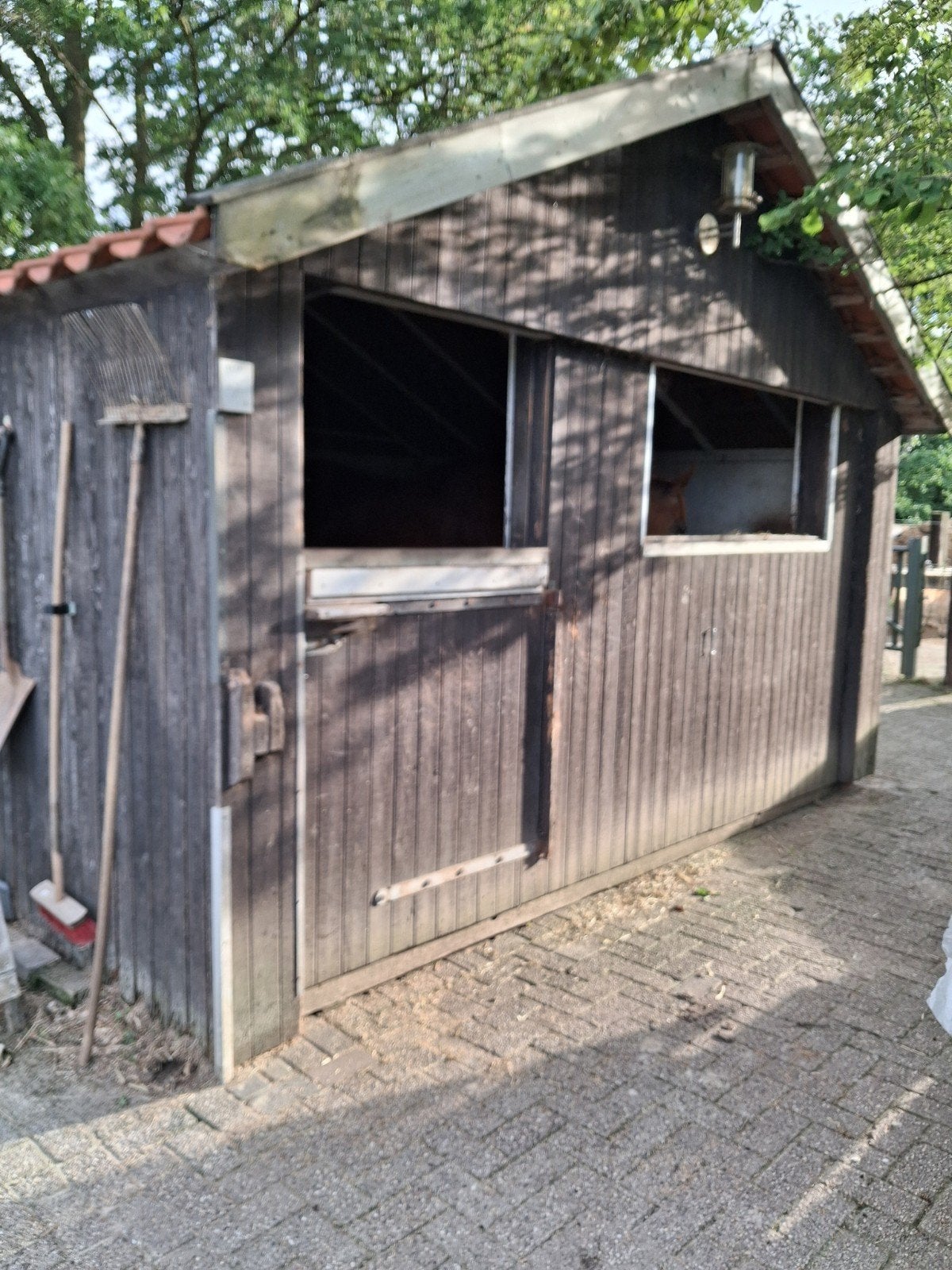 stalling, Dieren en Toebehoren, Stalling en Weidegang, Weidegang, 1 paard of pony