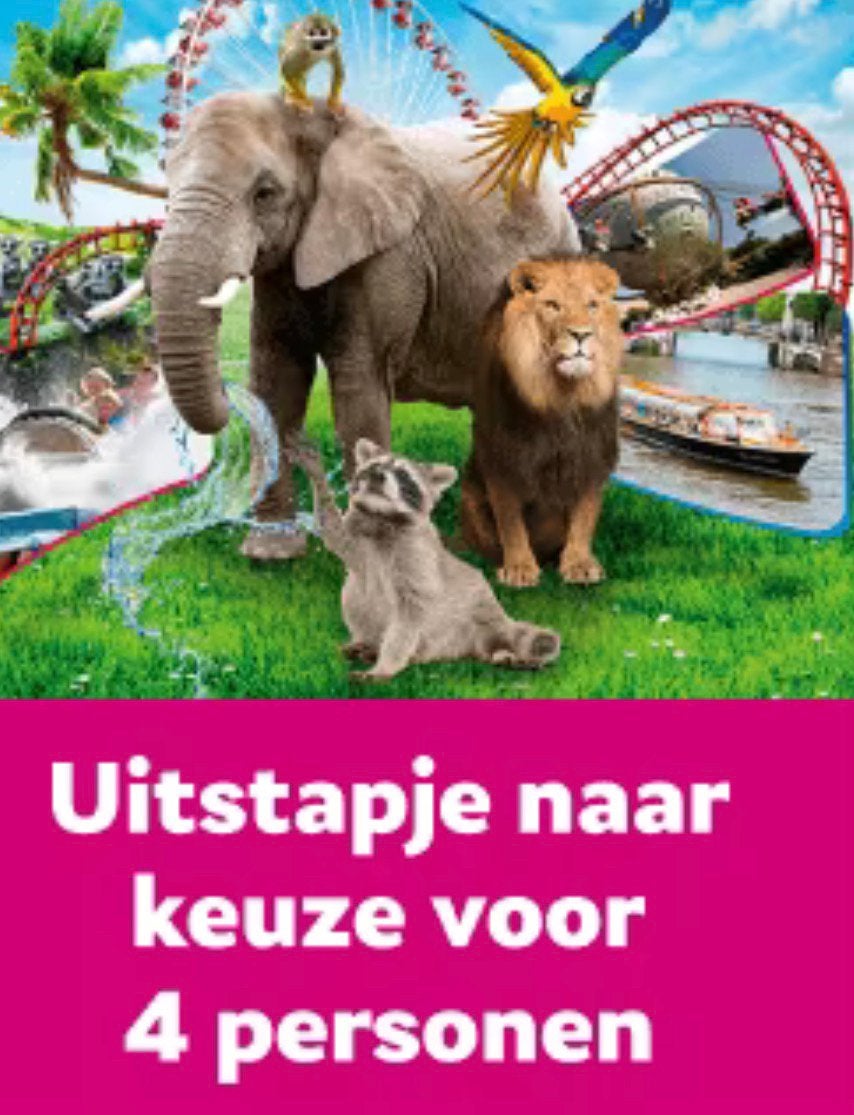 Uitstapje naar keuze 4 personen, Drie personen of meer, Ticket of Toegangskaart
