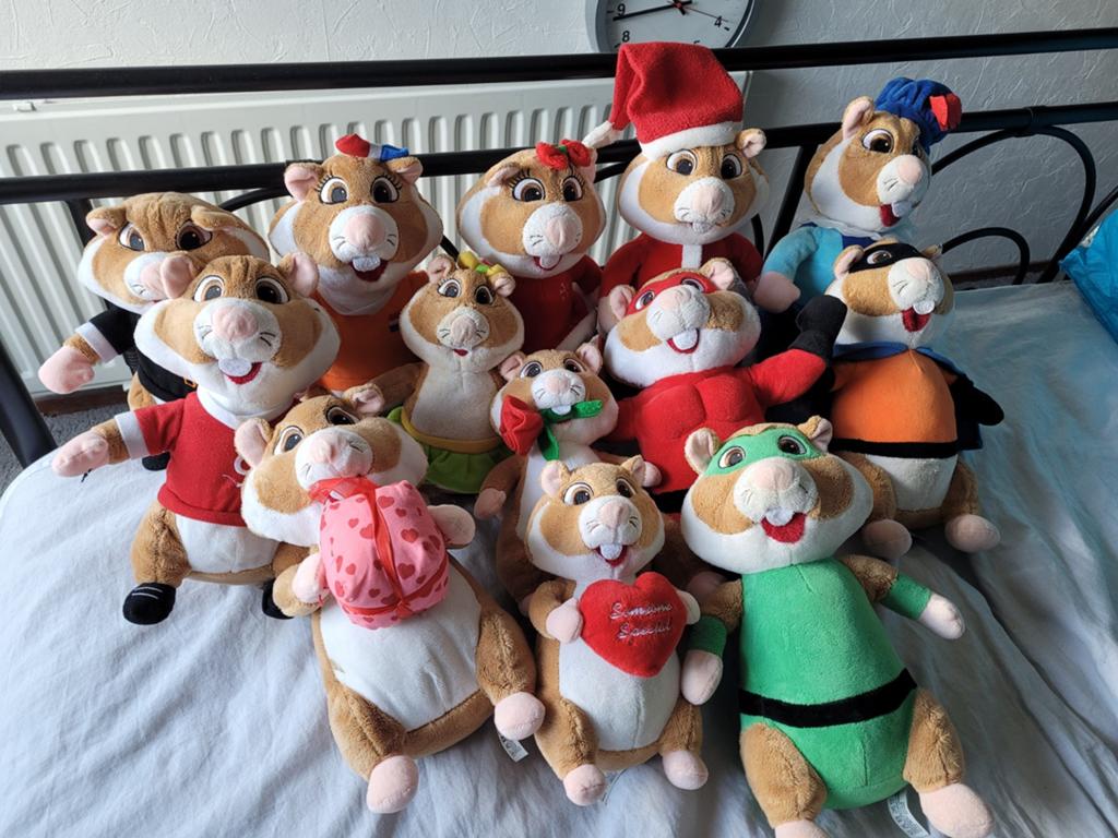 Hamster knuffels zoeken een nieuw thuis, Ophalen, Overige typen