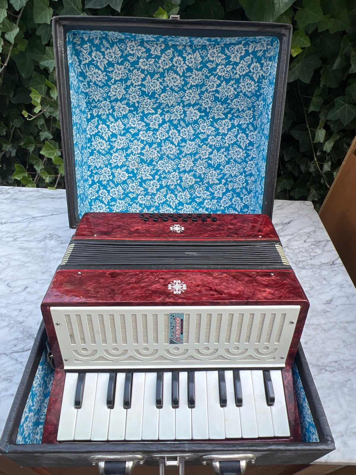 Vintage Accordeon KRYZHOK (Made in USSR) met koffer, Gebruikt, Overige formaten, Toetsaccordeon, Met koffer