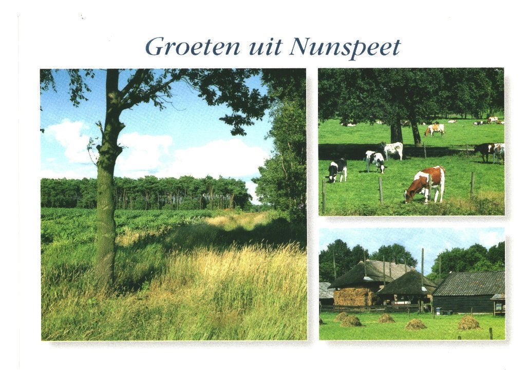 43009 Nunspeet Gld 80+ _Gelopen met zegel Vincent van Gogh