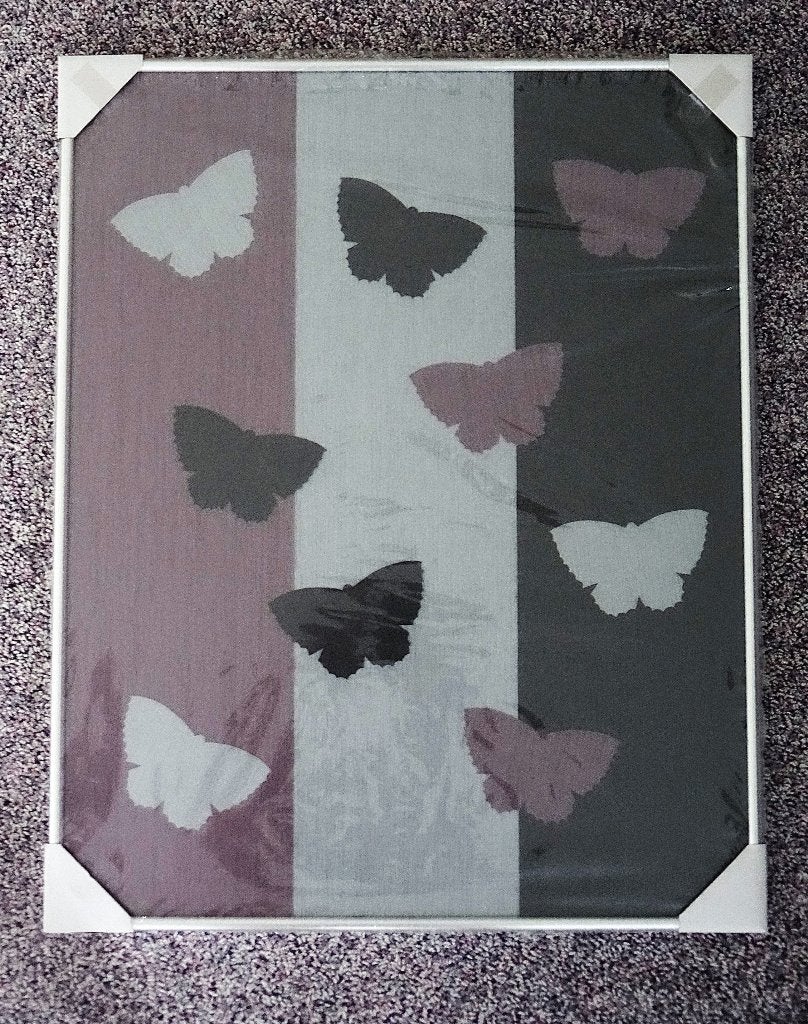 Lijst zilverkleurig 40x50 cm, ontspiegeld glas, met vlinders, Ophalen, Nieuw, Minder dan 50 cm, Overige typen