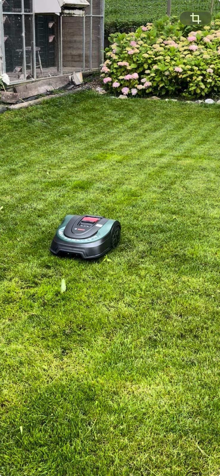 Bosch Indego S+ 500 Robotmaaier - Gebruikt, Ophalen, Cirkelmaaier, Gebruikt, Accu-grasmaaier