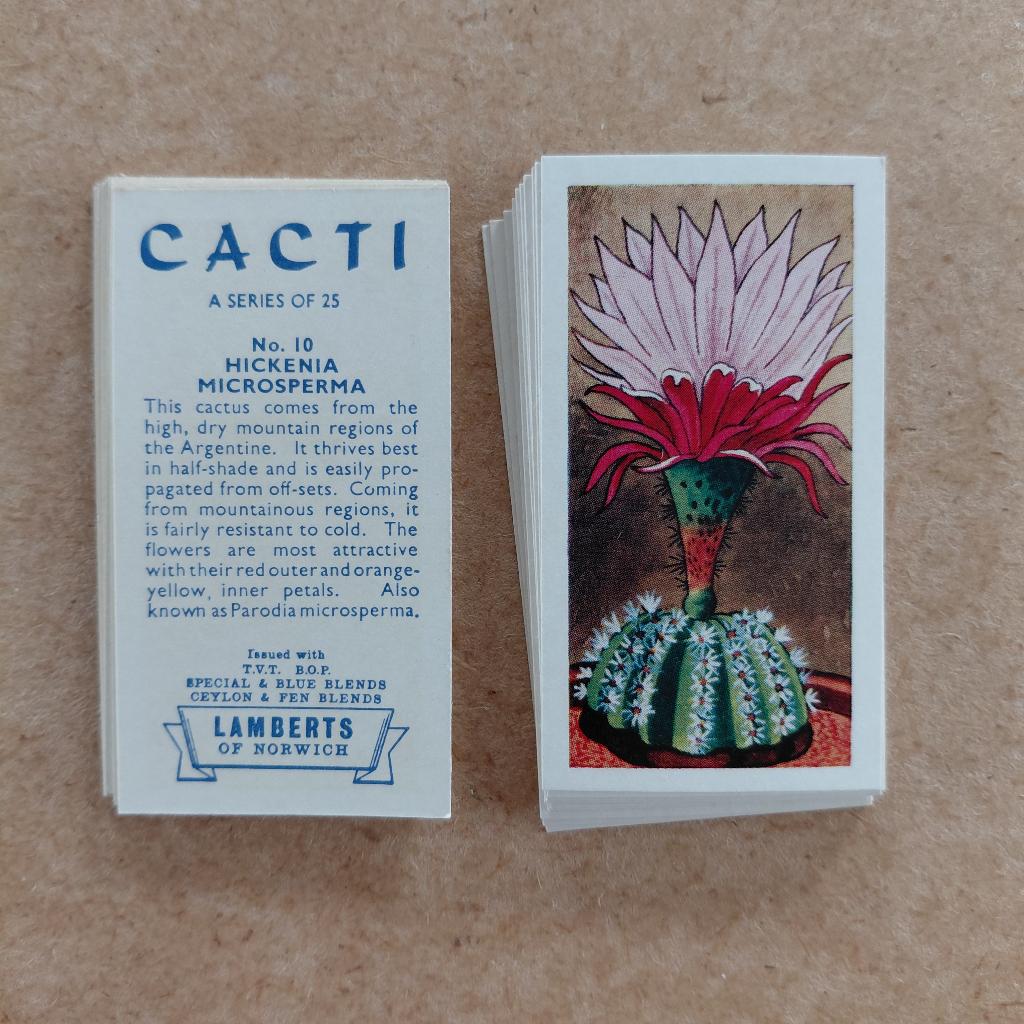 Cacti complete set 25 tea cards Lambert & Sons 1962 cactus, Ophalen, Zo goed als nieuw