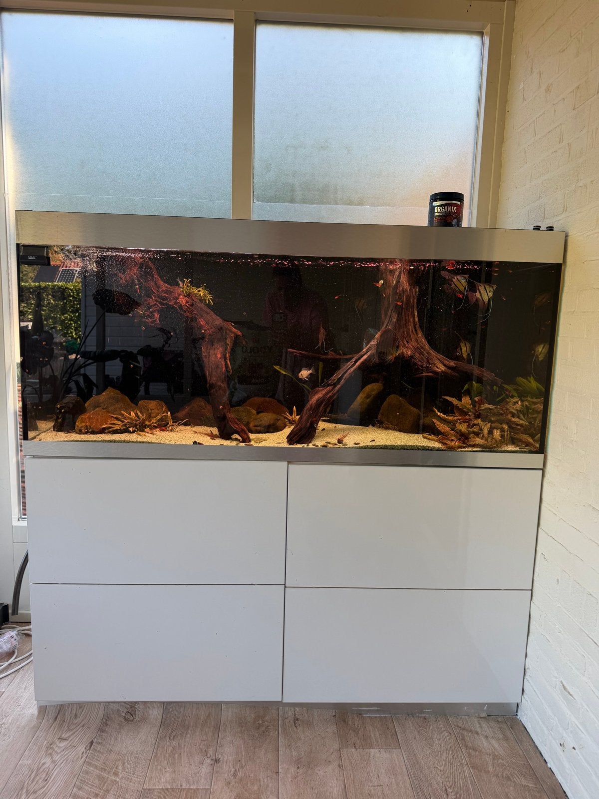 Oase highline overcompleet, Ophalen, Gebruikt, Oase, Gevuld zoetwateraquarium