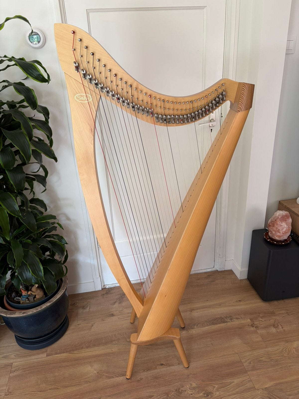 Salvi Mia 34 snaren (darm) esdoornhout - in goede staat, Muziek en Instrumenten, Ophalen, Zo goed als nieuw