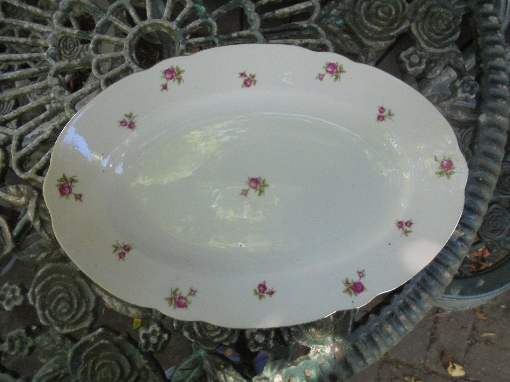 Ovale Vleesschaal Mitterteich Bavaria met roze roosjes, Ophalen of Verzenden
