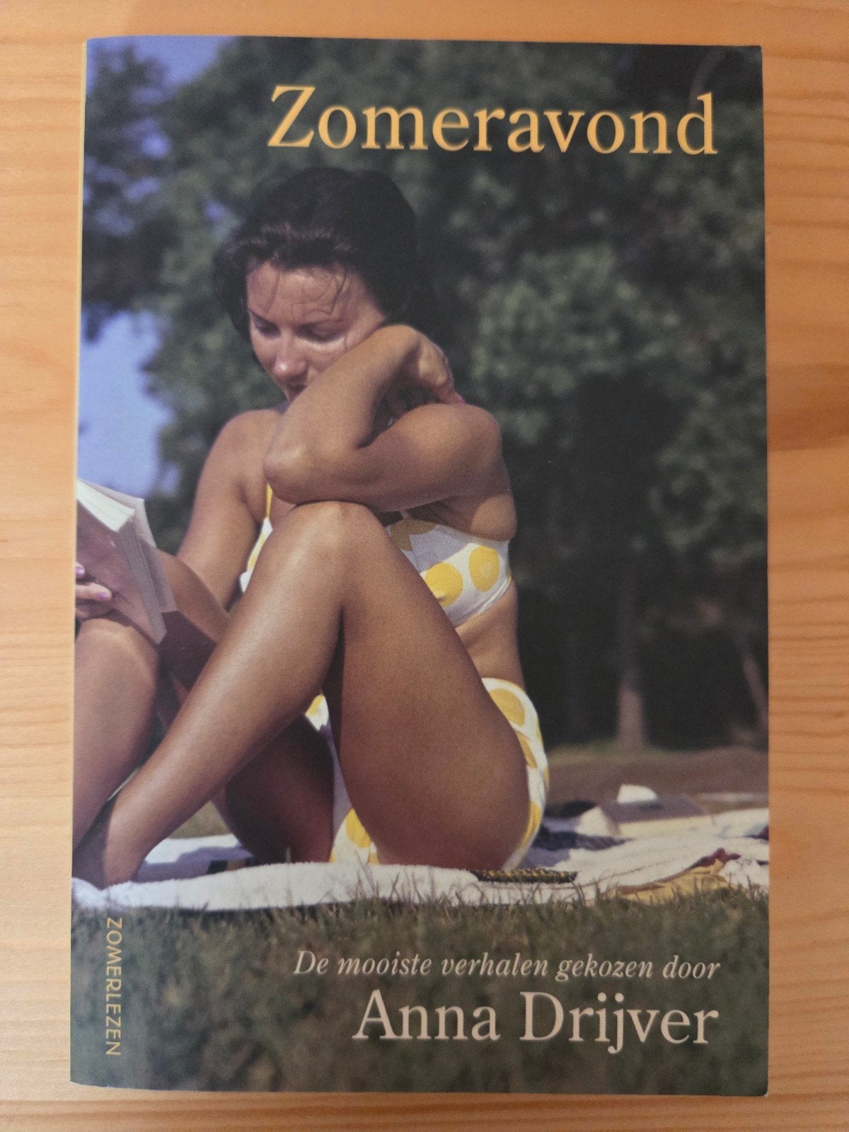 Anna Drijver zomeravond, Ophalen of Verzenden, Gelezen