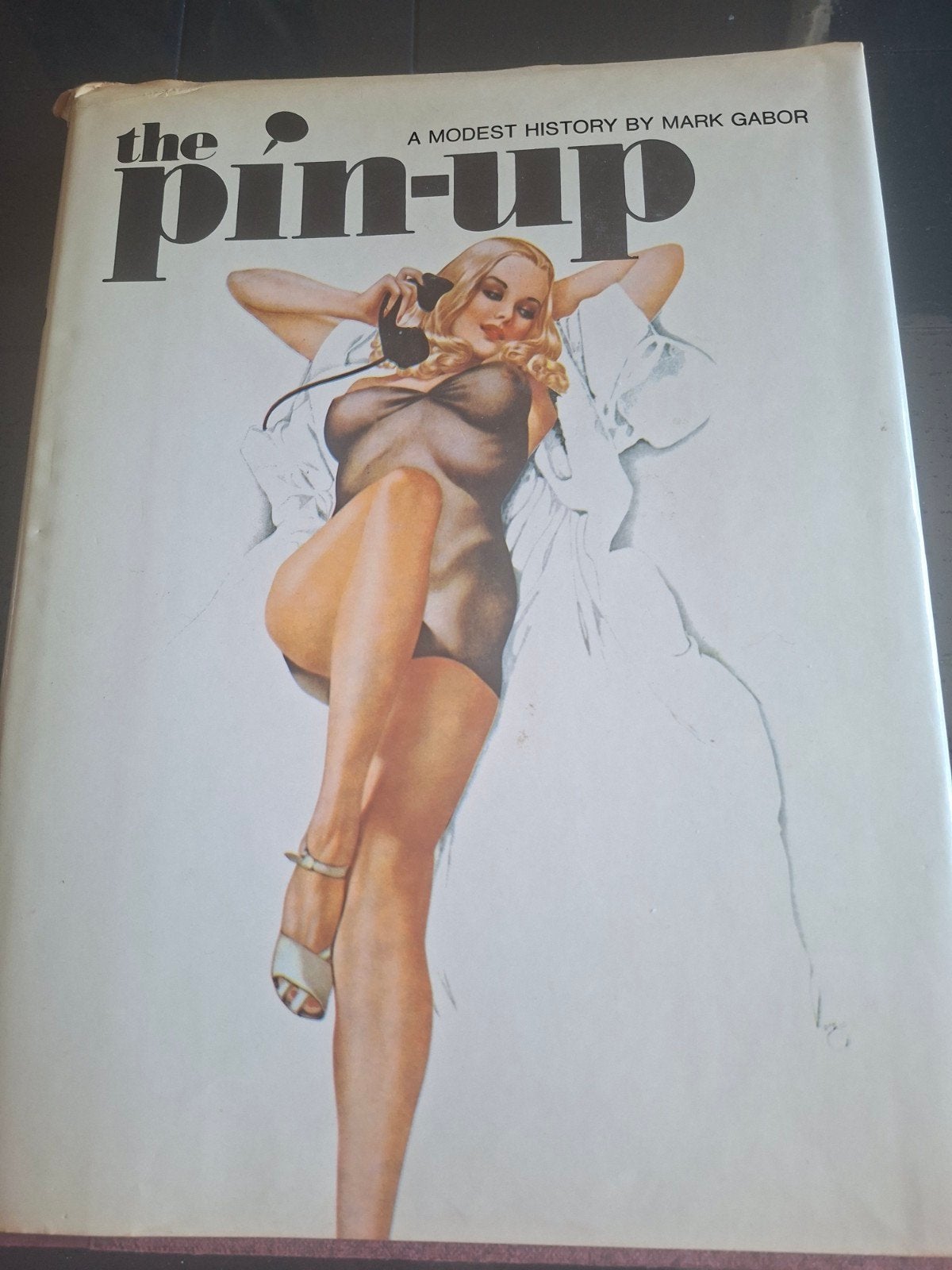 The Pin-Up: A Modest History - Mark Gabor (1972), Boeken, Ophalen of Verzenden, Gelezen, Mark Gabor, Amerika