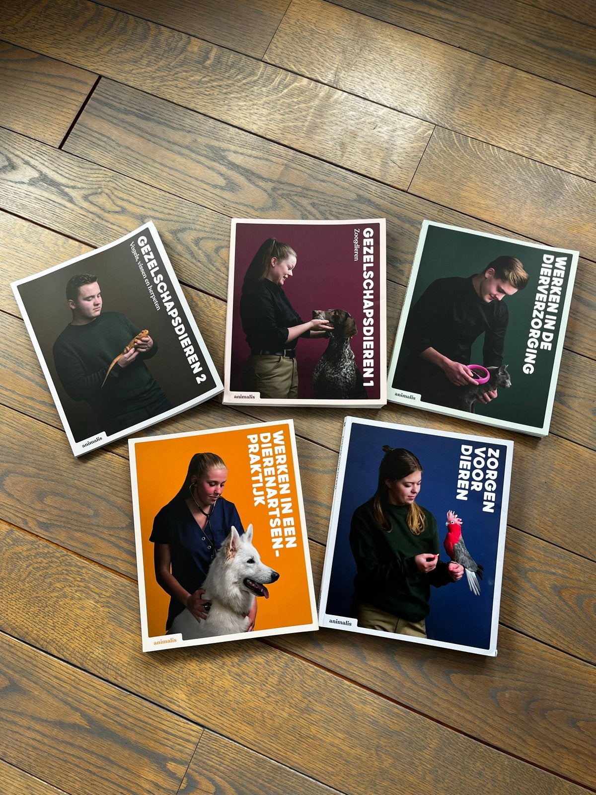 Animalis studieboeken paraveterinair (5 stuks), Boeken, Ophalen of Verzenden, Beta, Zo goed als nieuw, MBO