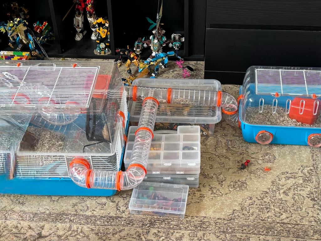 Ferplast hamsterkooi, Dieren en Toebehoren, Kooi, Gebruikt, Minder dan 75 cm, Muis