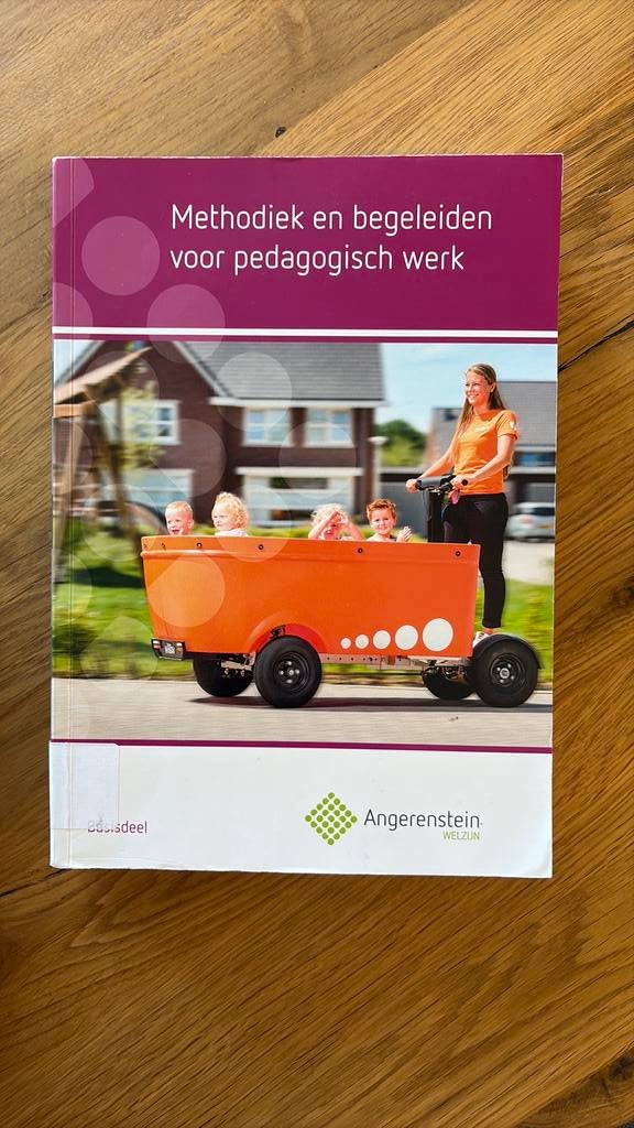 Methodiek en begeleiden voor pedagogisch werk, Ophalen of Verzenden, Zo goed als nieuw, Overige niveaus