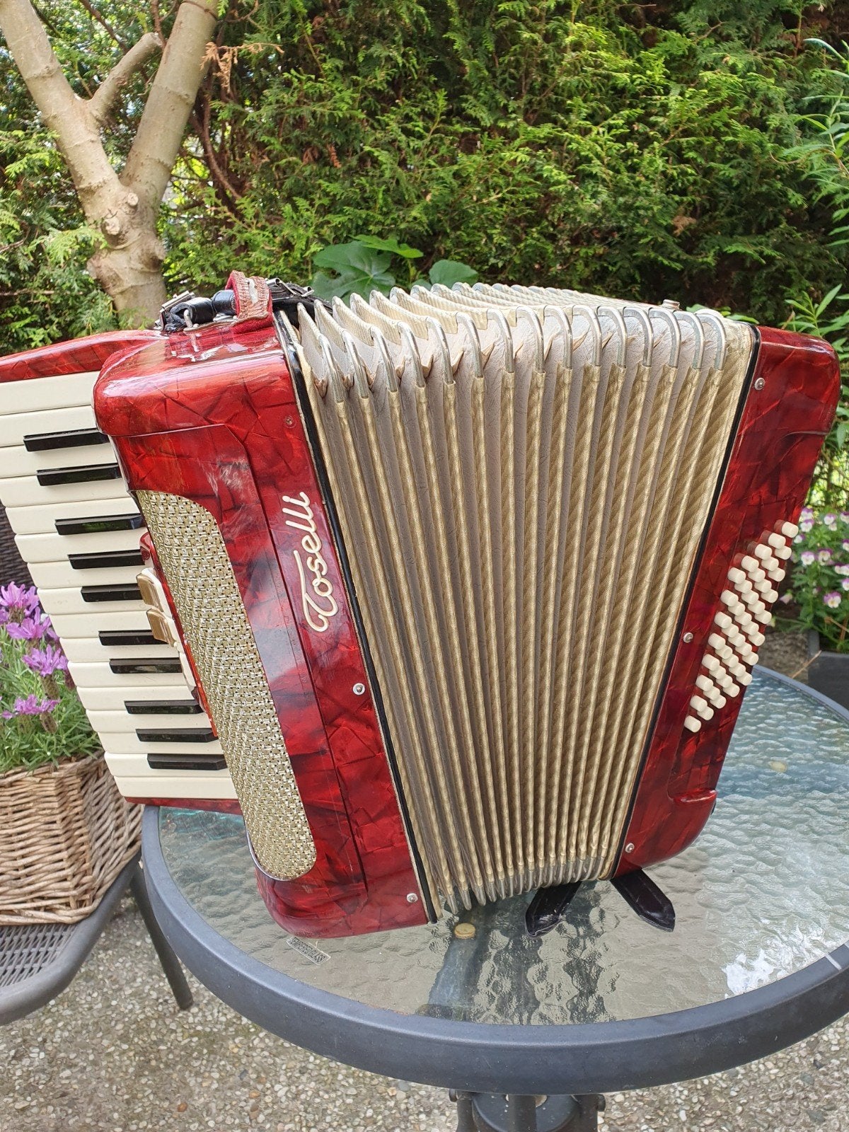 Prachtige Italiaanse Toselli Accordeon ., Ophalen of Verzenden