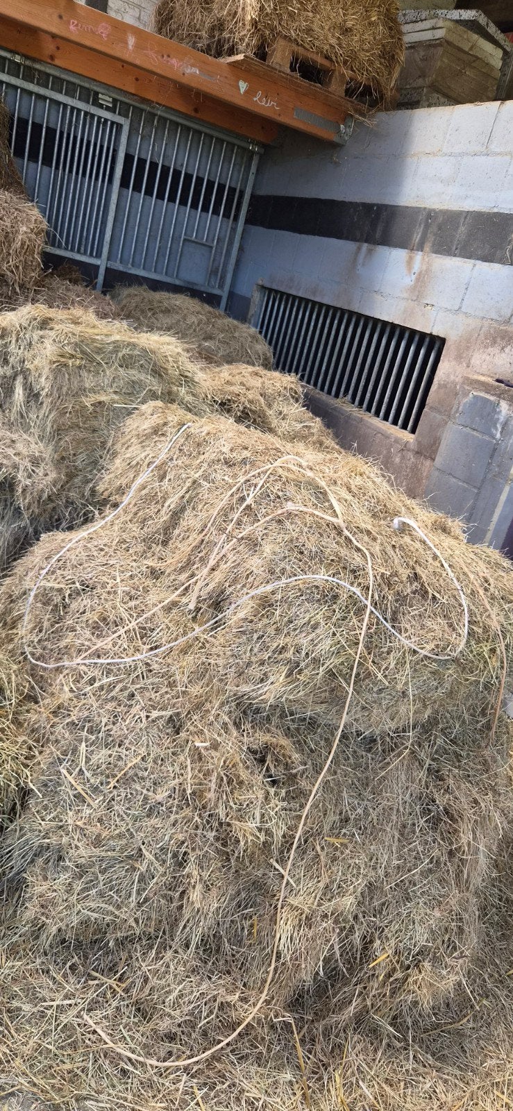 Grote baal hooi, Dieren en Toebehoren, Ophalen, Vee