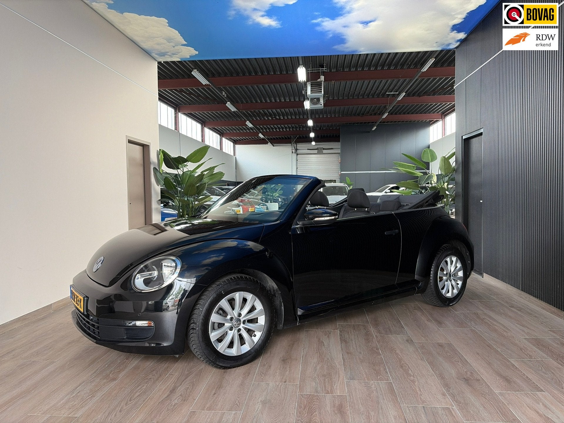 Volkswagen Beetle Cabriolet 1.2 TSI Design, Apple carplay/ca, Voorwielaandrijving, Stof, Gebruikt, 4 cilinders