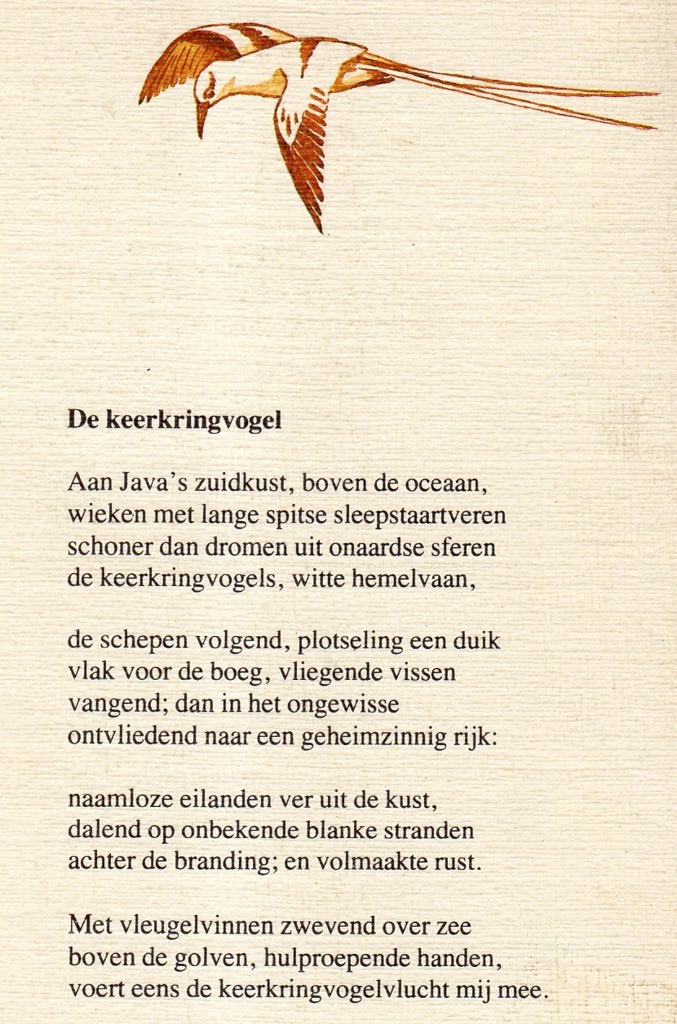 Brandt, Willem - De Keerkringvogel (1980), Ophalen of Verzenden, Nieuw