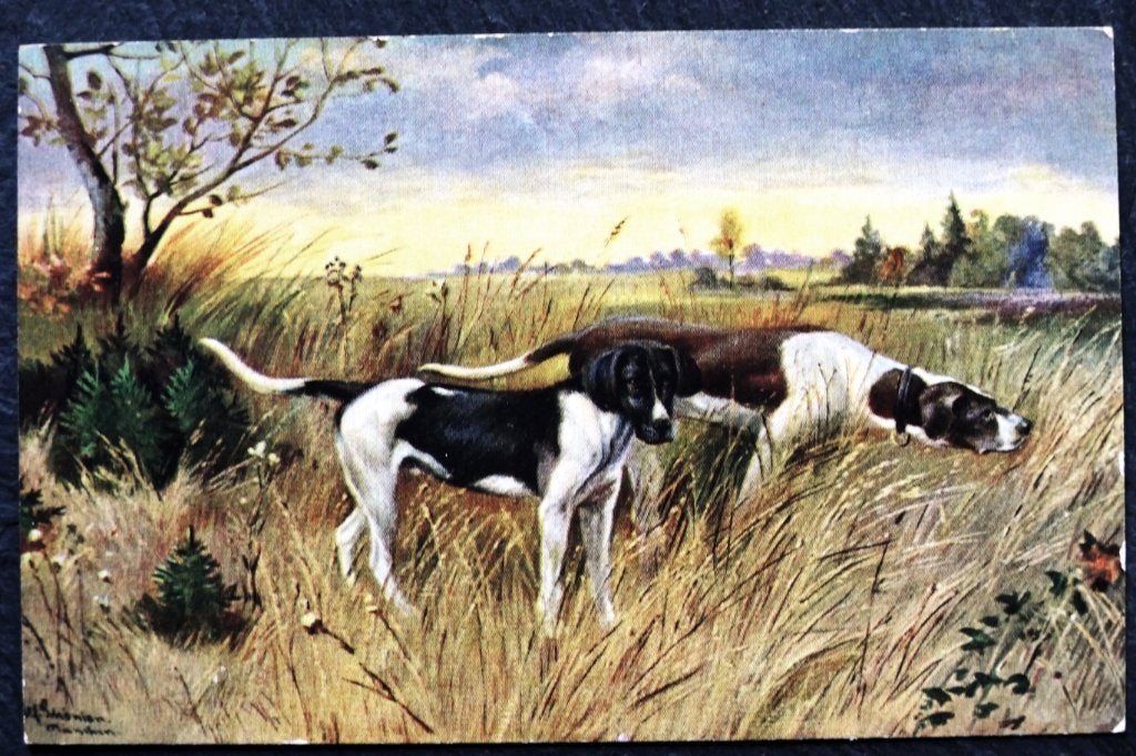 Jachthonden snuffelend in het veld, Verzamelen, Verzenden, Voor 1920, Ongelopen, Hond of Kat