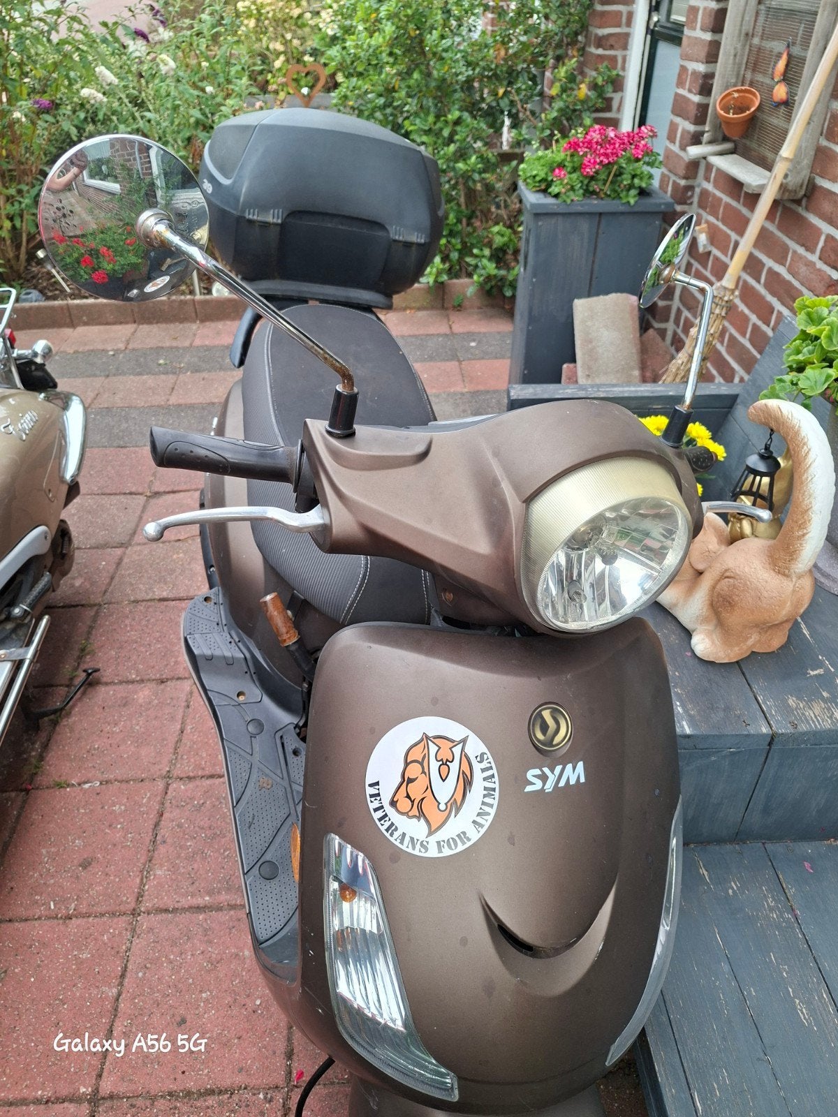 sym fiddle 2, Ophalen, Benzine, Overige modellen