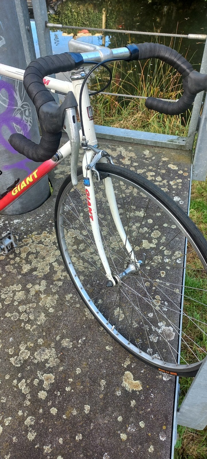 racefiets giant retro. in tostaat, Ophalen, 28 inch, Velgrem, Giant