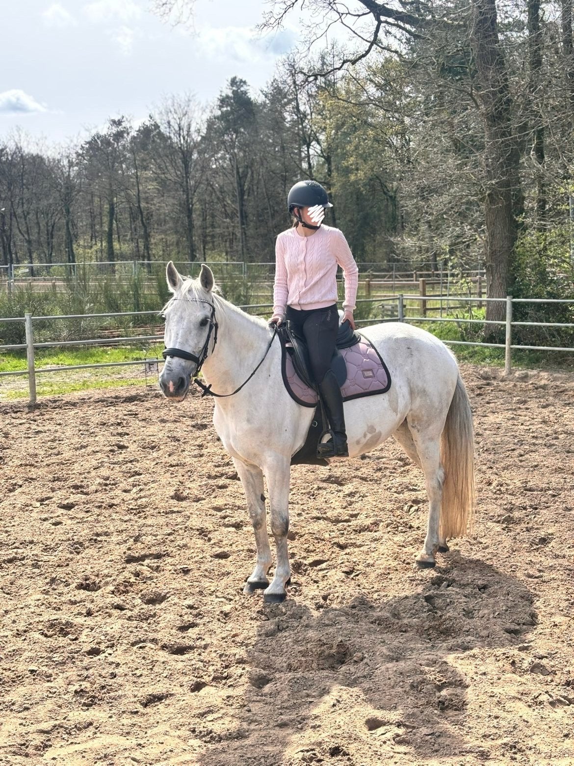 Super lieve (project) pony, Dieren en Toebehoren, Niet van toepassing, 11 jaar of ouder, Recreatiepony, Merrie