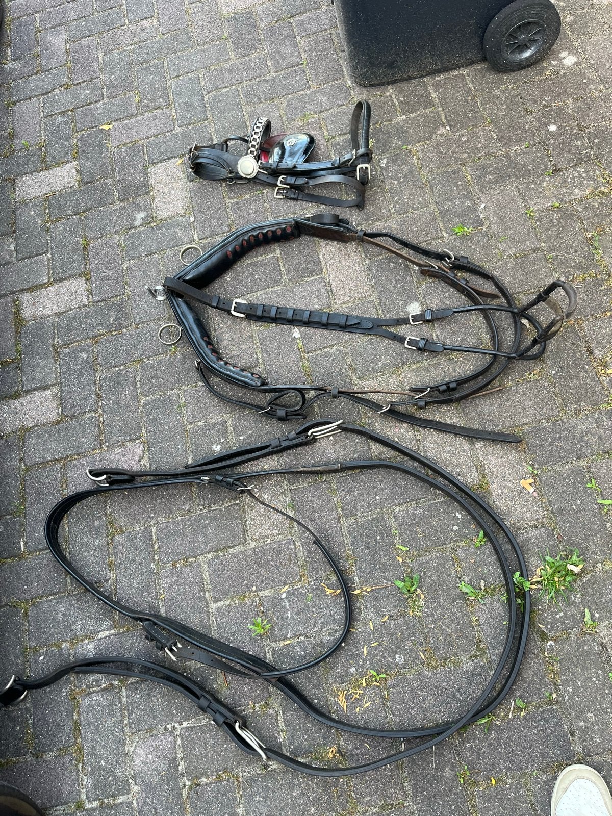 Enkelspan tuig concours tuig, Dieren en Toebehoren, Ophalen of Verzenden, Gebruikt, Overige soorten