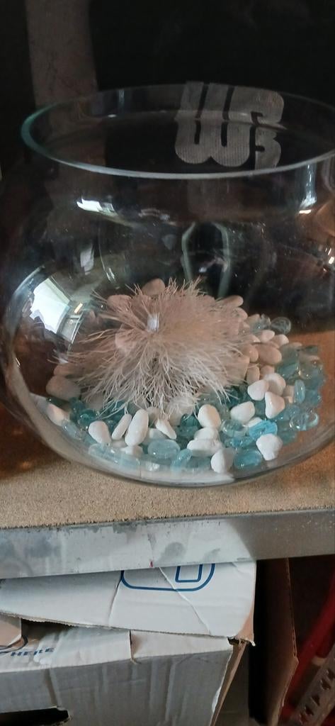 Vissenkom, Ophalen, Zo goed als nieuw, Leeg aquarium