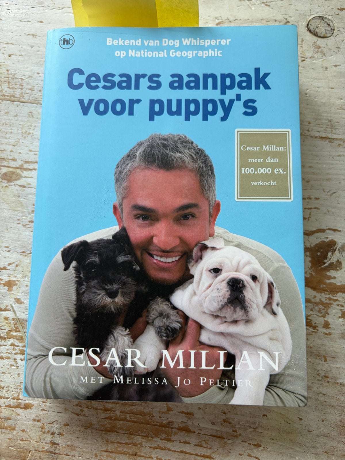 Cesar Millan: Cesars aanpak voor puppy's, Ophalen of Verzenden, Nieuw, Honden