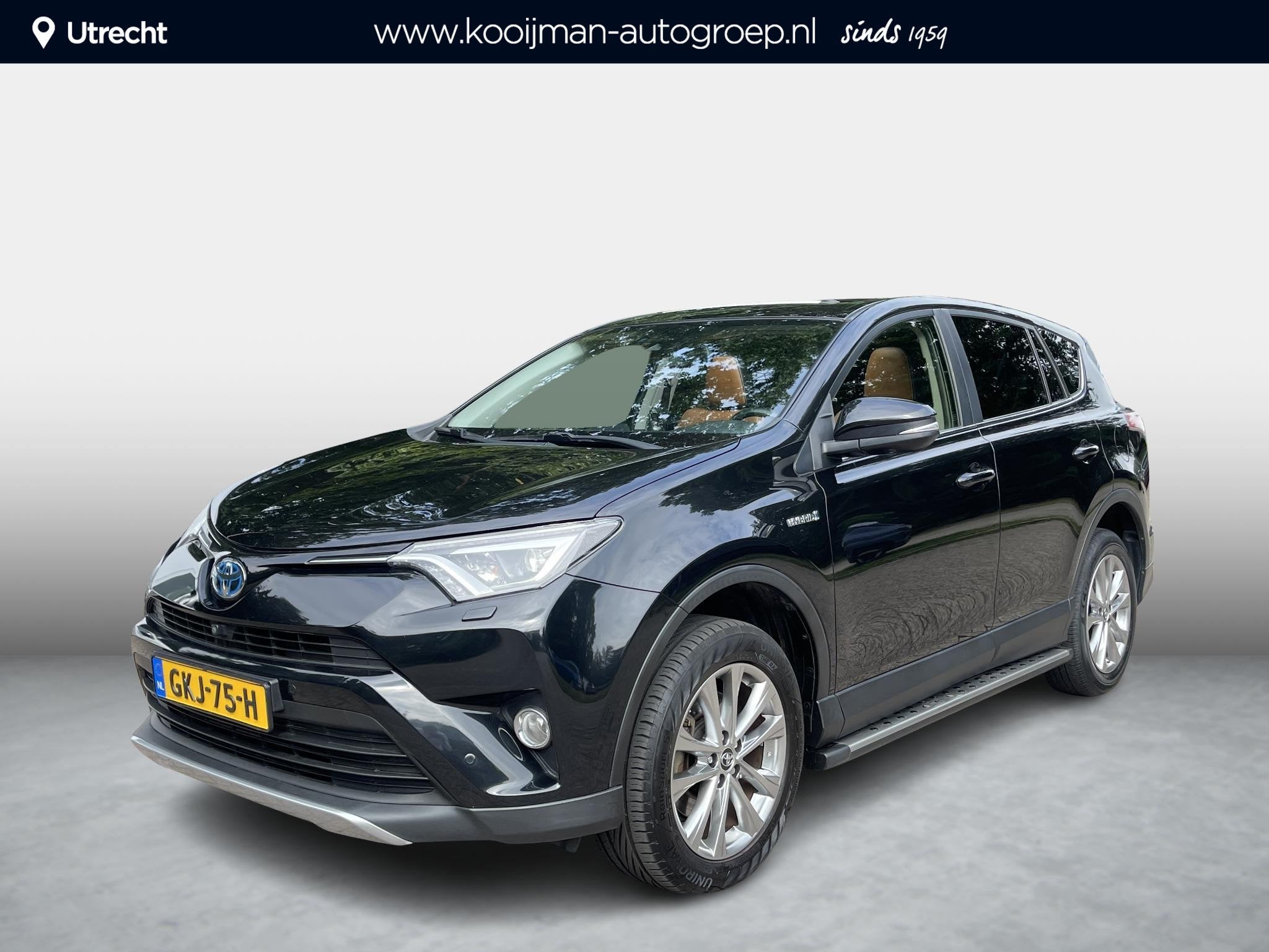 Toyota RAV4 2.5 Hybrid Executive Panorama dak , Dodehoek det, Auto's, Gebruikt, Zwart, Bedrijf, Hybride Elektrisch/Benzine