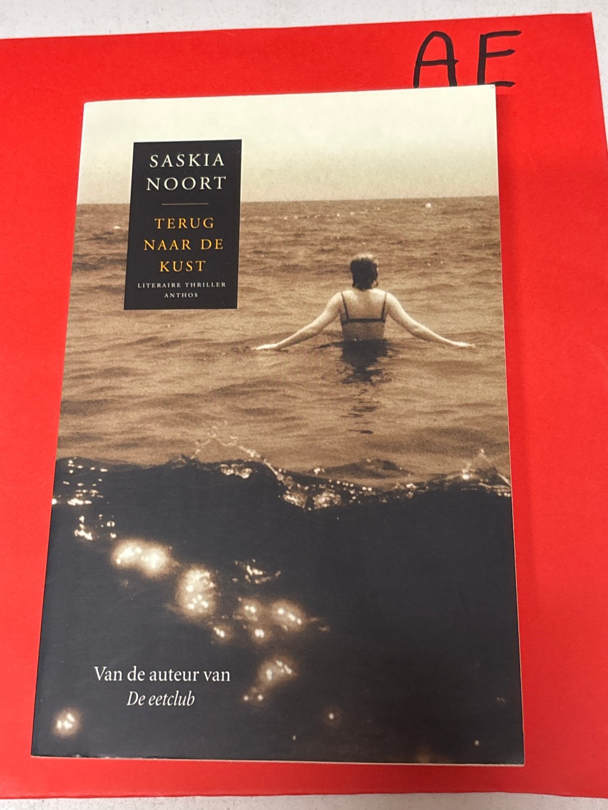 Saskia Noort - Terug naar de Kust (Literaire Thriller), Ophalen of Verzenden, Zo goed als nieuw, Nederland